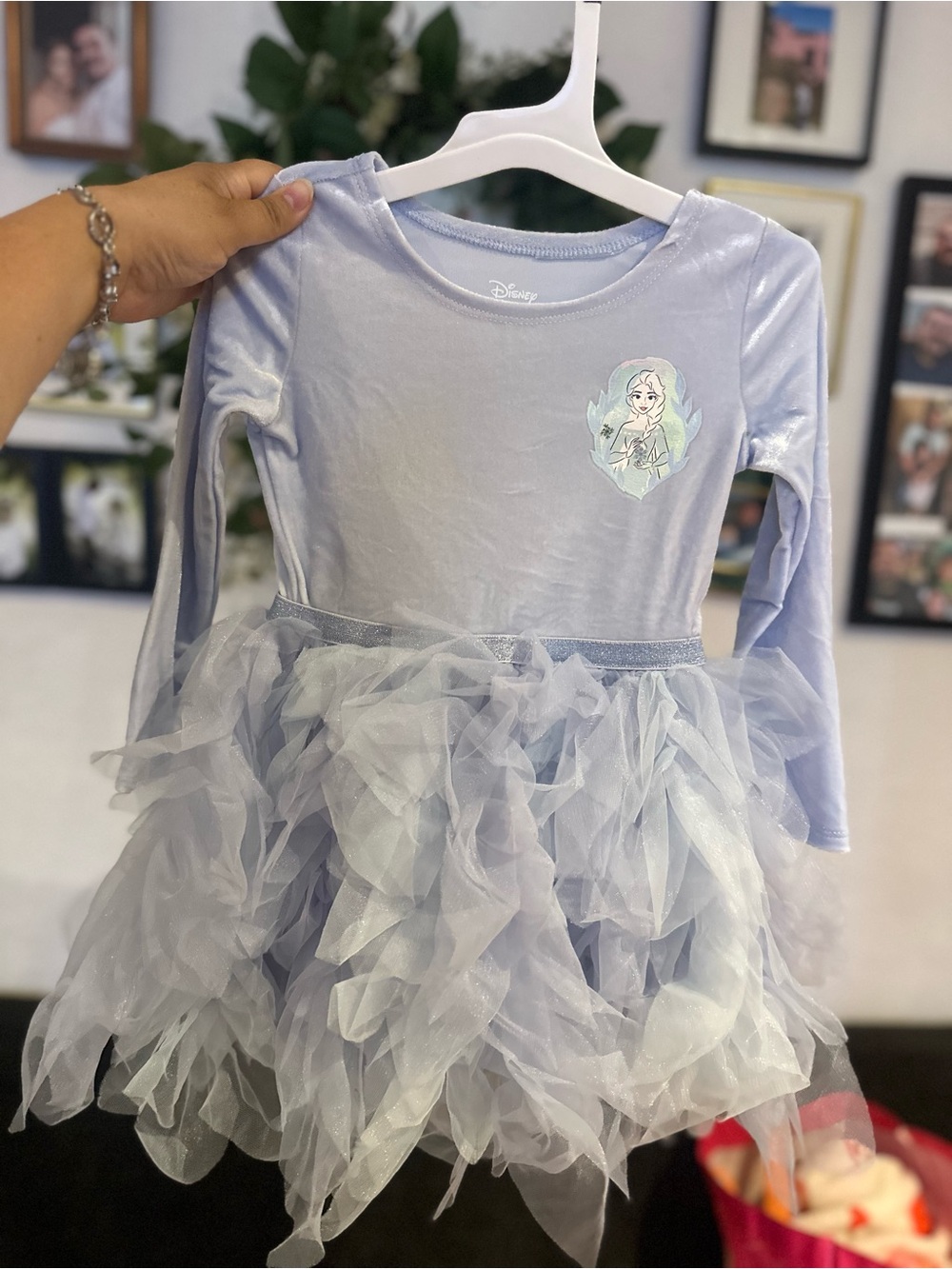 Light Blue/purple Elsa toddler girls 2T dress